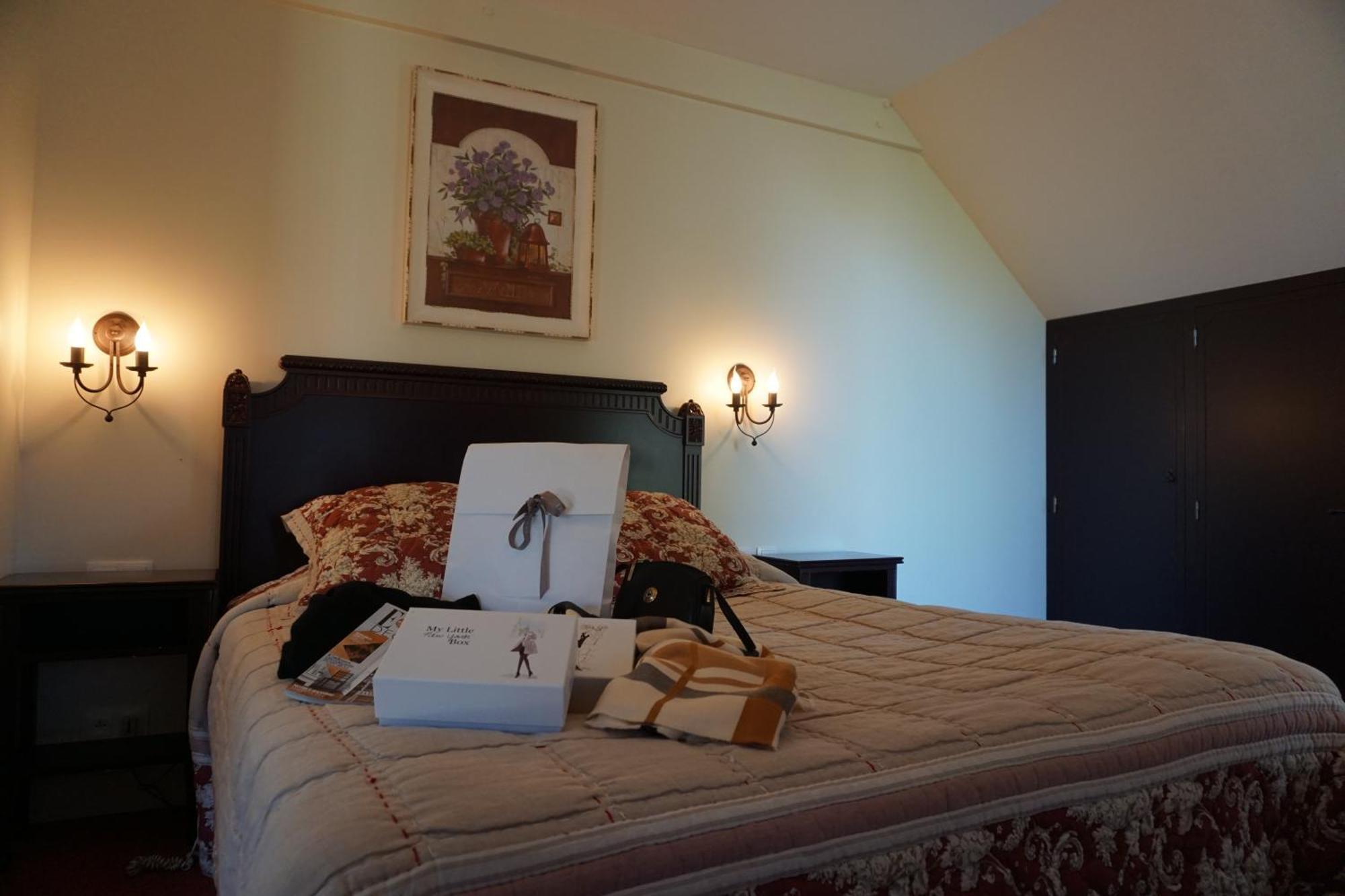 ホテル Domaine De L'Arbrelle アンボワーズ 部屋 写真