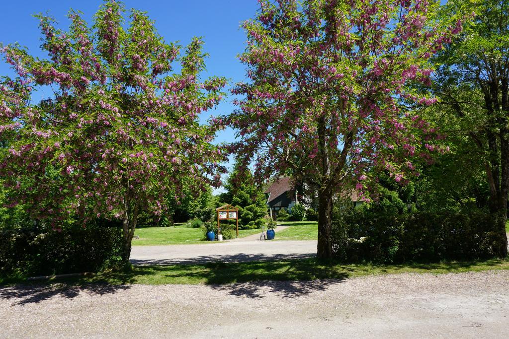 ホテル Domaine De L'Arbrelle アンボワーズ エクステリア 写真